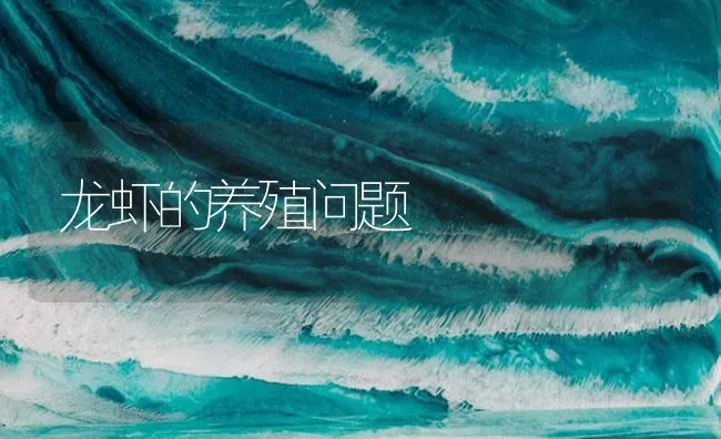 龙虾的养殖问题 | 海水养殖技术