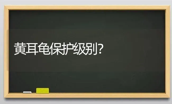 黄耳龟保护级别？ | 动物养殖问答