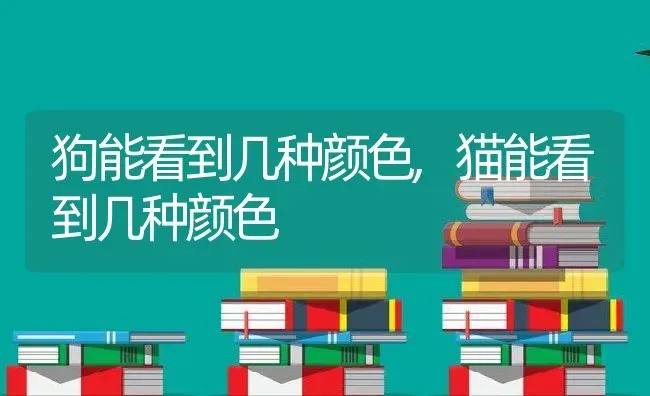 狗能看到几种颜色,猫能看到几种颜色 | 宠物百科知识