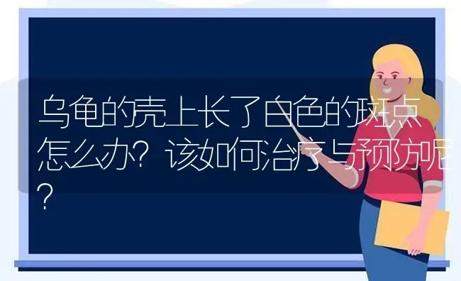 乌龟的壳上长了白色的斑点怎么办？该如何治疗与预防呢？ | 动物养殖问答