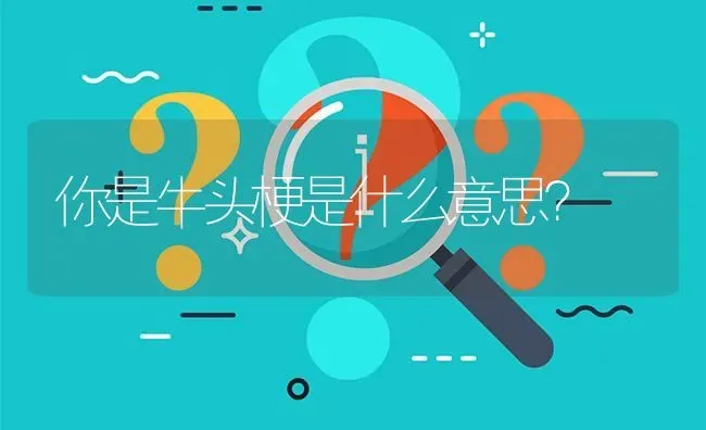 你是牛头梗是什么意思？ | 动物养殖问答