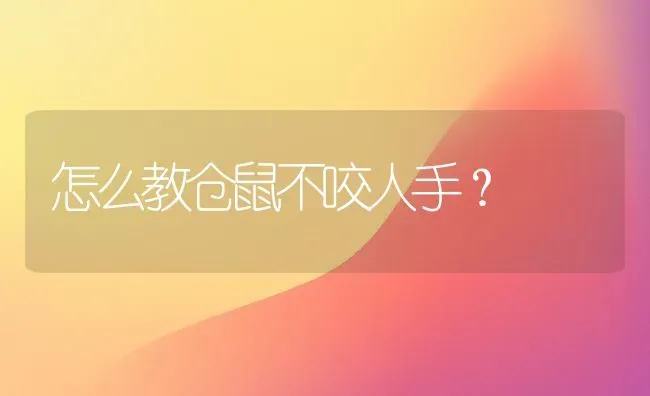 怎么教仓鼠不咬人手？ | 动物养殖问答