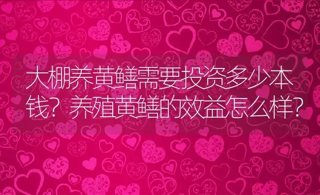 大棚养黄鳝需要投资多少本钱？养殖黄鳝的效益怎么样？ | 动物养殖百科