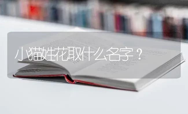 小猫姓花取什么名字？ | 动物养殖问答