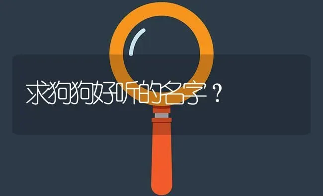 求狗狗好听的名字？ | 动物养殖问答