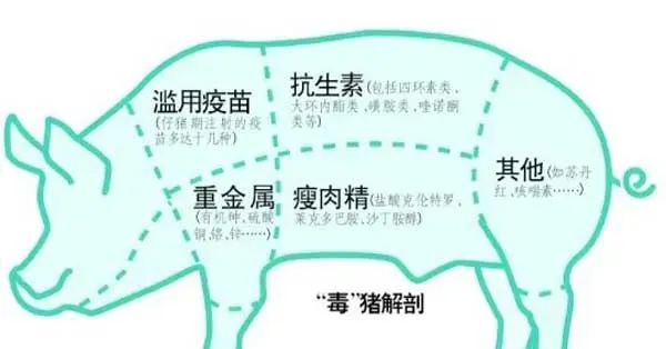 猪饲料中添加瘦肉精的危害