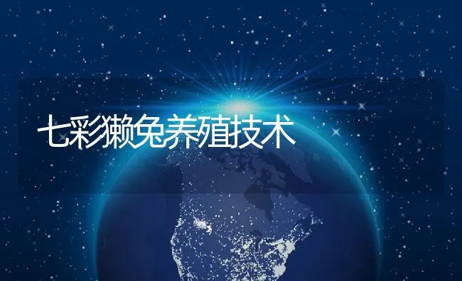 七彩獭兔养殖技术 | 水产养殖知识