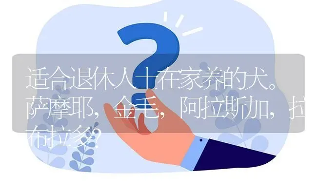 适合退休人士在家养的犬。萨摩耶，金毛，阿拉斯加，拉布拉多？ | 动物养殖问答