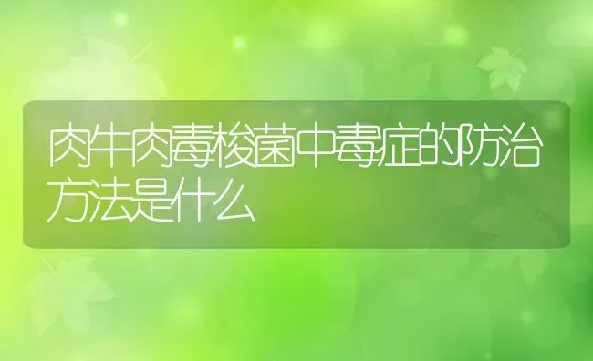 肉牛肉毒梭菌中毒症的防治方法是什么 | 动物养殖教程