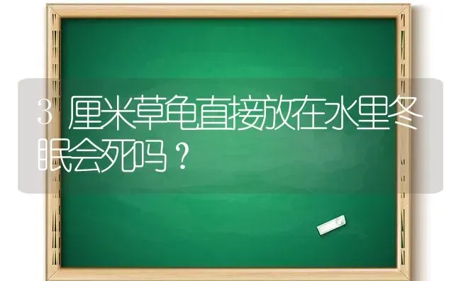 3厘米草龟直接放在水里冬眠会死吗？ | 动物养殖问答