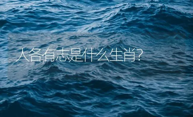 人各有志是什么生肖？ | 鱼类宠物饲养
