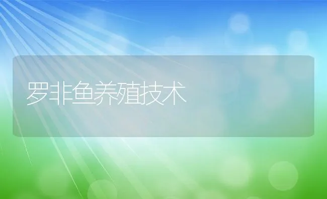 罗非鱼养殖技术 | 动物养殖饲料