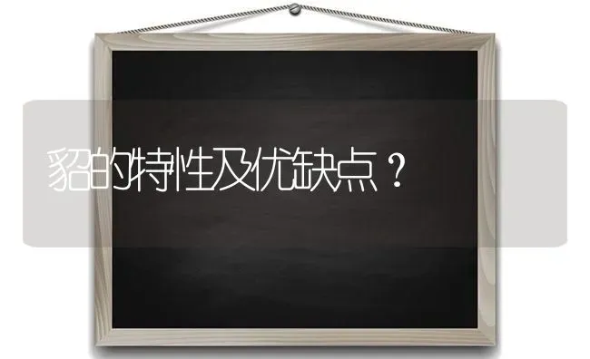 貂的特性及优缺点？ | 动物养殖问答