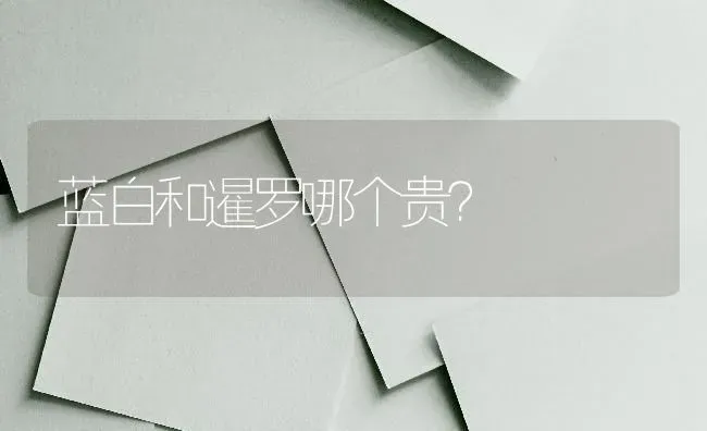 蓝白和暹罗哪个贵？ | 动物养殖问答