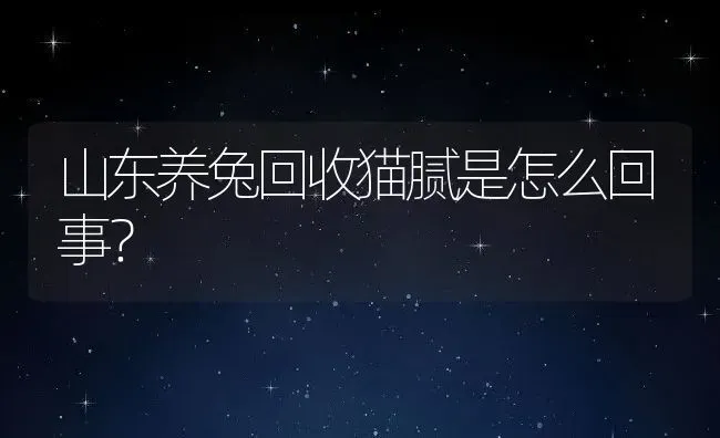 山东养兔回收猫腻是怎么回事？ | 动物养殖百科