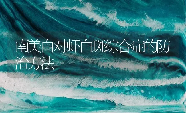 南美白对虾白斑综合症的防治方法 | 海水养殖技术