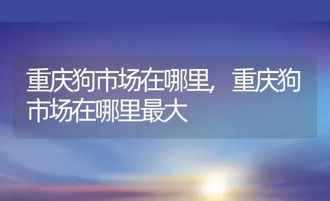 重庆狗市场在哪里,重庆狗市场在哪里最大 | 宠物百科知识