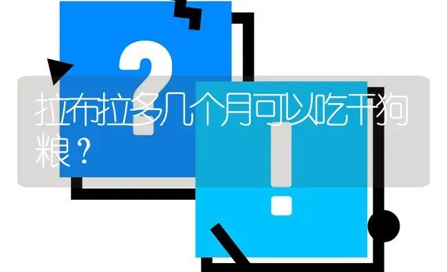 拉布拉多几个月可以吃干狗粮？ | 动物养殖问答