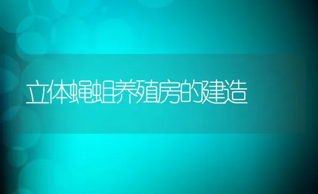 立体蝇蛆养殖房的建造 | 动物养殖教程