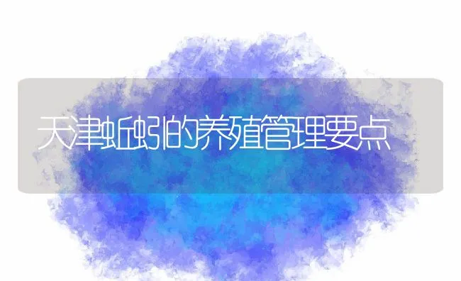 天津蚯蚓的养殖管理要点 | 水产养殖知识