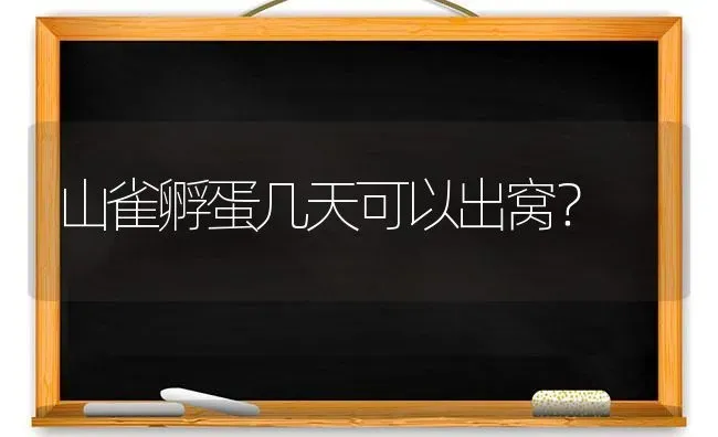 山雀孵蛋几天可以出窝？ | 动物养殖问答