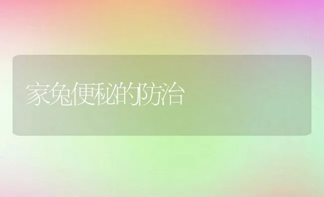 家兔便秘的防治 | 水产养殖知识