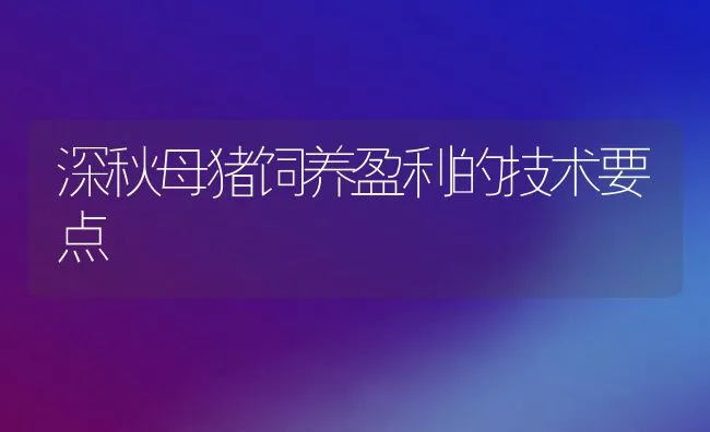 深秋母猪饲养盈利的技术要点 | 动物养殖饲料