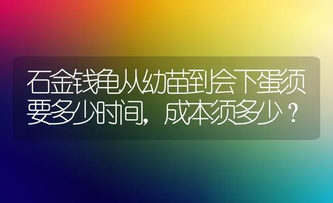 石金钱龟从幼苗到会下蛋须要多少时间，成本须多少？ | 动物养殖问答