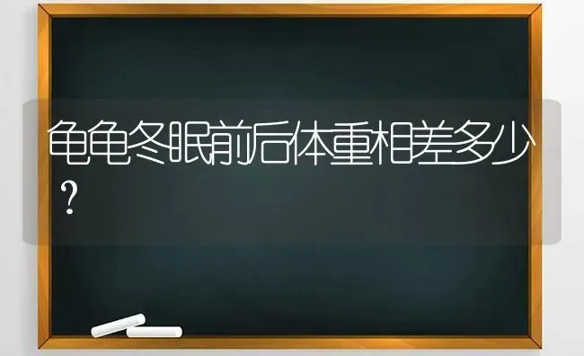 龟龟冬眠前后体重相差多少？ | 动物养殖问答