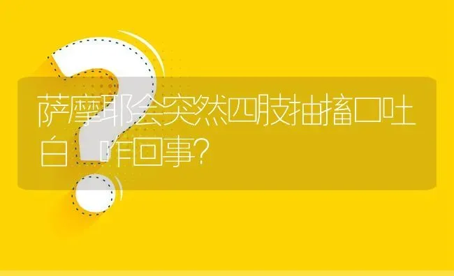 萨摩耶会突然四肢抽搐口吐白沬咋回事？ | 动物养殖问答