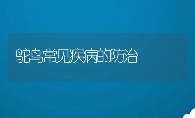 鸵鸟常见疾病的防治 | 动物养殖学堂