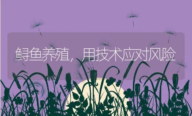 采用酵素菌技术广东汕尾养殖户鱼虾均丰产 | 海水养殖技术