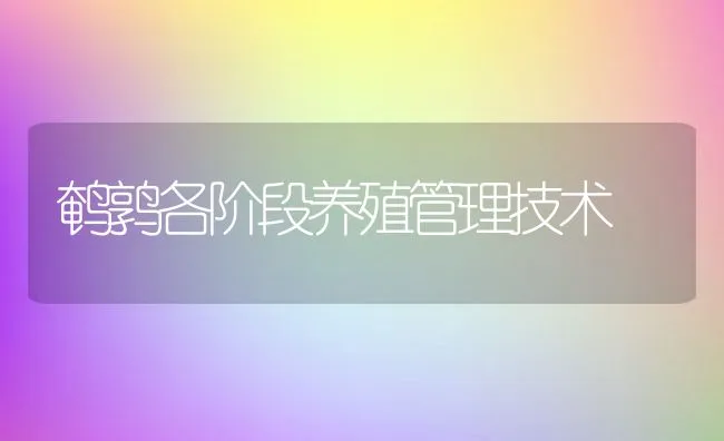 鹌鹑各阶段养殖管理技术 | 水产养殖知识