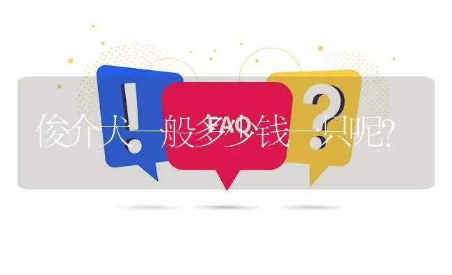 俊介犬一般多少钱一只呢？ | 动物养殖问答