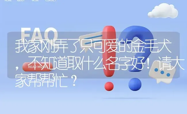 我家刚弄了只可爱的金毛犬，不知道取什么名字好！请大家帮帮忙？ | 动物养殖问答