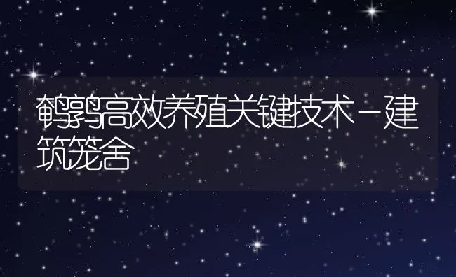 鹌鹑高效养殖关键技术－建筑笼舍 | 水产养殖知识