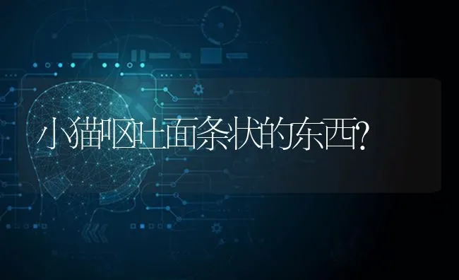 小猫呕吐面条状的东西？ | 动物养殖问答