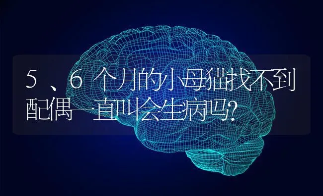 5、6个月的小母猫找不到配偶一直叫会生病吗？ | 动物养殖问答