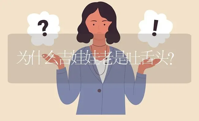 为什么吉娃娃老是吐舌头？ | 动物养殖问答