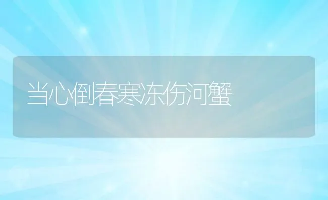 肥猪出栏体重115千克以上划算吗？ | 动物养殖学堂