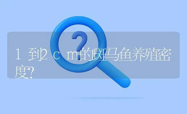 1到2cm的斑马鱼养殖密度？ | 鱼类宠物饲养