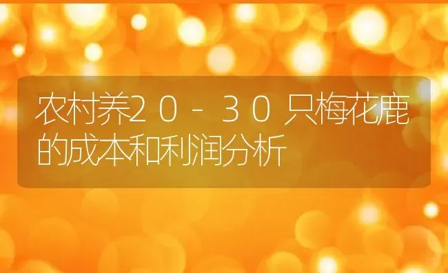 农村养20-30只梅花鹿的成本和利润分析 | 动物养殖百科