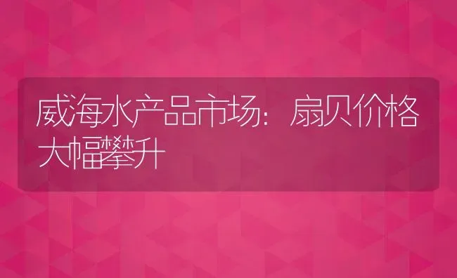 威海水产品市场：扇贝价格大幅攀升 | 淡水养殖技术