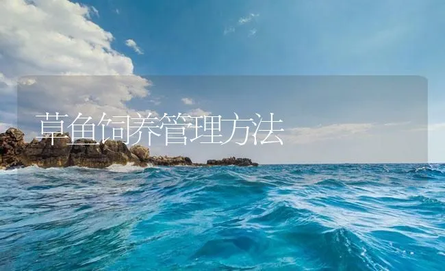 草鱼饲养管理方法 | 海水养殖技术