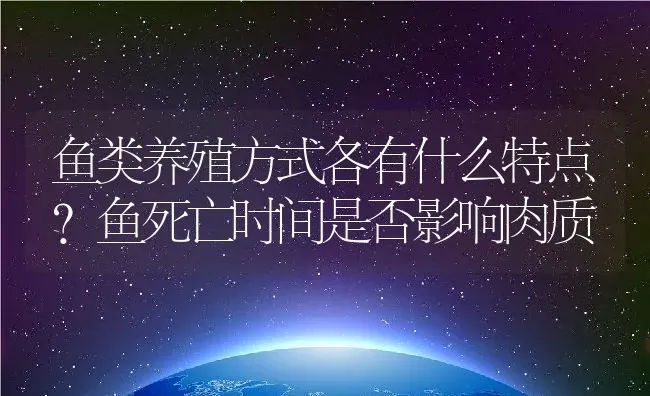 鱼类养殖方式各有什么特点?鱼死亡时间是否影响肉质 | 动物养殖百科