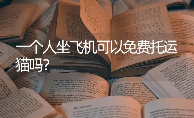 一个人坐飞机可以免费托运猫吗？ | 动物养殖问答