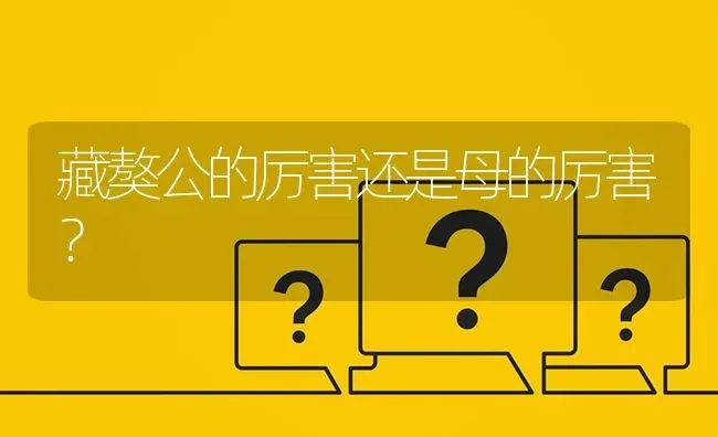 藏獒公的厉害还是母的厉害？ | 动物养殖问答