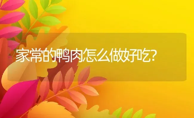 家常的鸭肉怎么做好吃？ | 动物养殖百科