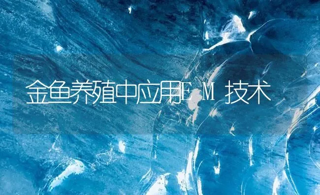 金鱼养殖中应用EM技术 | 海水养殖技术