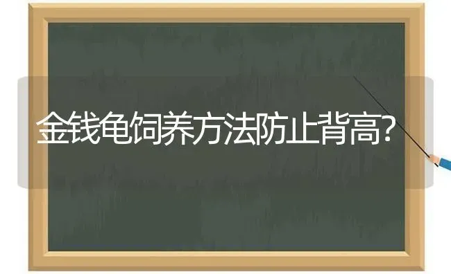 金钱龟饲养方法防止背高？ | 动物养殖问答